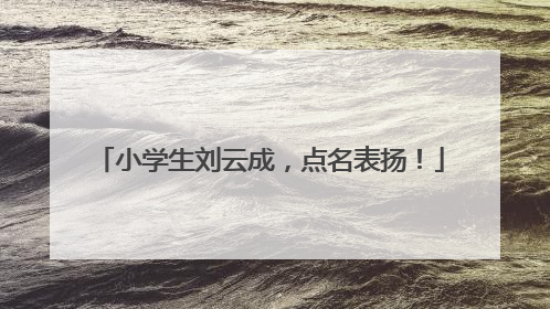 小学生刘云成，点名表扬！