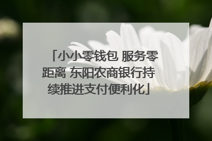 小小零钱包 服务零距离 东阳农商银行持续推进支付便利化