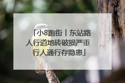 小8跑街丨东站路人行道地砖破损严重 行人通行存隐患