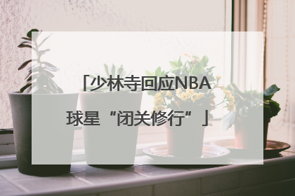 少林寺回应NBA球星“闭关修行”