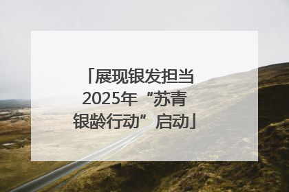 展现银发担当 2025年“苏青银龄行动”启动