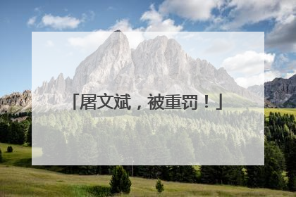屠文斌，被重罚！