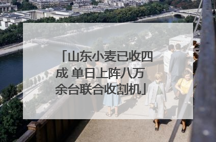 山东小麦已收四成 单日上阵八万余台联合收割机