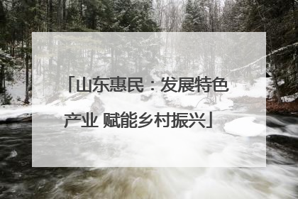 山东惠民：发展特色产业 赋能乡村振兴