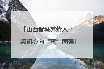 山西晋城养蜂人：一颗初心向“蜜”图强
