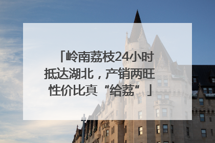 岭南荔枝24小时抵达湖北，产销两旺性价比真“给荔”