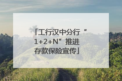 工行汉中分行“1+2+N”推进存款保险宣传