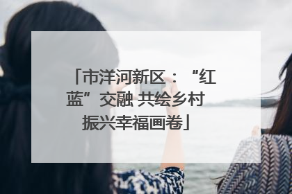 市洋河新区：“红蓝”交融 共绘乡村振兴幸福画卷