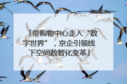 带购物中心走入“数字世界”，京企引领线下空间数智化变革