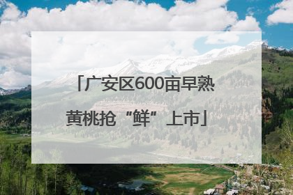 广安区600亩早熟黄桃抢“鲜”上市