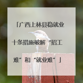 广西上林县稳就业十条措施破解“招工难”和“就业难”
