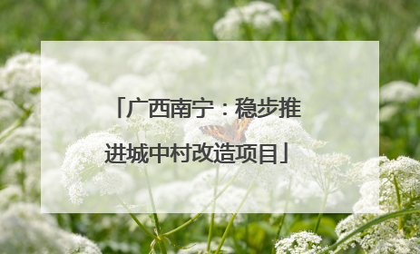 广西南宁：稳步推进城中村改造项目