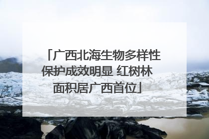 广西北海生物多样性保护成效明显 红树林面积居广西首位
