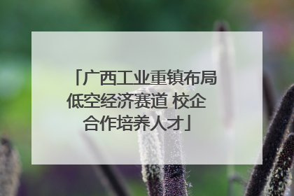 广西工业重镇布局低空经济赛道 校企合作培养人才