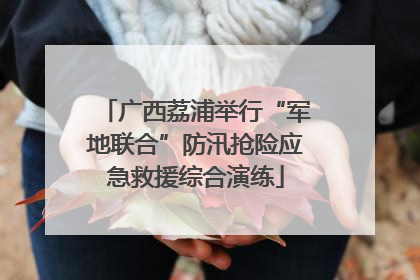 广西荔浦举行“军地联合”防汛抢险应急救援综合演练