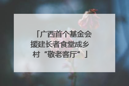 广西首个基金会援建长者食堂成乡村“敬老客厅”
