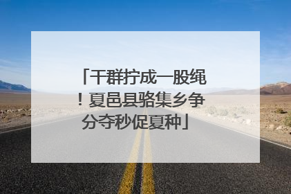 干群拧成一股绳！夏邑县骆集乡争分夺秒促夏种