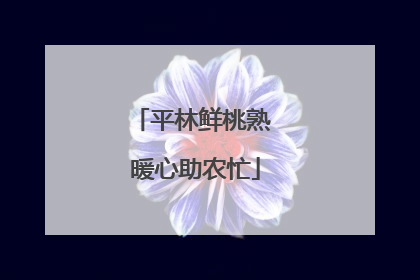 平林鲜桃熟 暖心助农忙