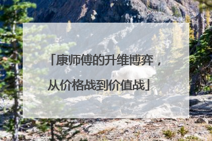 康师傅的升维博弈，从价格战到价值战