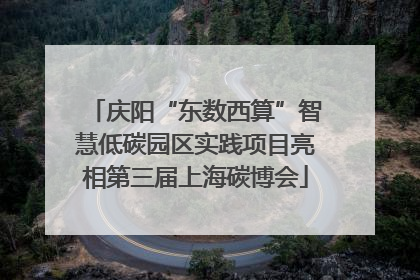 庆阳“东数西算”智慧低碳园区实践项目亮相第三届上海碳博会
