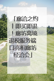 廊洽之约丨即买即退！廊坊离境退税服务端口亮相廊坊经洽会