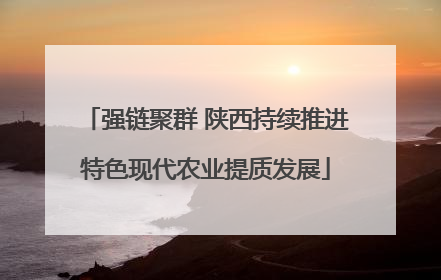 强链聚群 陕西持续推进特色现代农业提质发展