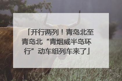 开行两列！青岛北至青岛北“青烟威半岛环行”动车组列车来了