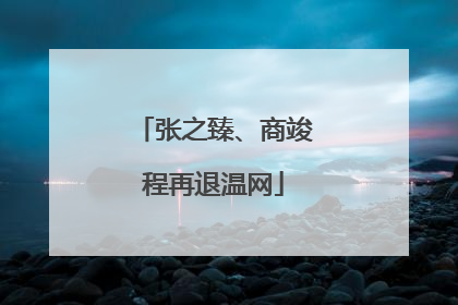 张之臻、商竣程再退温网