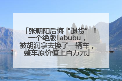 张朝阳后悔“退货”！一个绝版Labubu，被胡润拿去换了一辆车，整车原价值上百万元