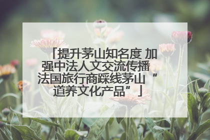 提升茅山知名度 加强中法人文交流传播 法国旅行商踩线茅山“道养文化产品”