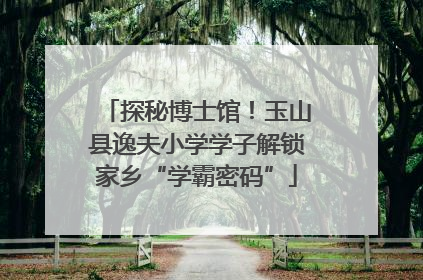 探秘博士馆！玉山县逸夫小学学子解锁家乡“学霸密码”