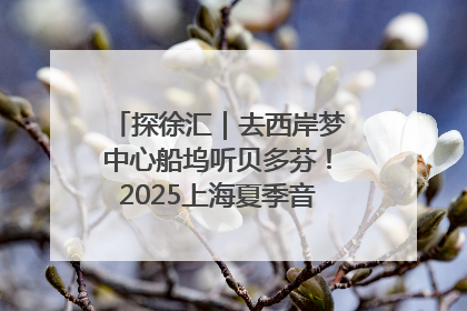 探徐汇｜去西岸梦中心船坞听贝多芬！2025上海夏季音乐节公布节目阵容