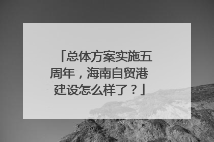 总体方案实施五周年，海南自贸港建设怎么样了？