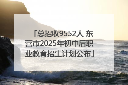 总招收9552人 东营市2025年初中后职业教育招生计划公布