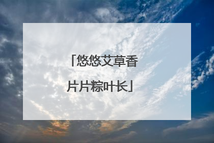 悠悠艾草香 片片粽叶长