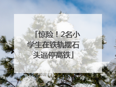 惊险！2名小学生在铁轨摆石头逼停高铁