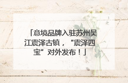 意境品牌入驻苏州吴江震泽古镇，“震泽四宝”对外发布！