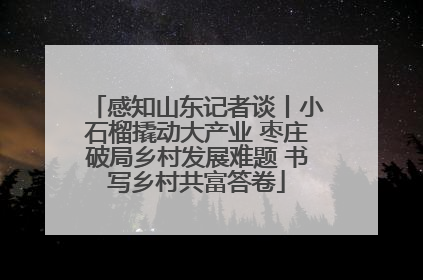 感知山东记者谈丨小石榴撬动大产业 枣庄破局乡村发展难题 书写乡村共富答卷