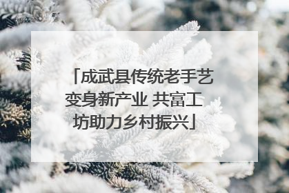 成武县传统老手艺变身新产业 共富工坊助力乡村振兴