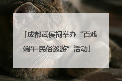 成都武侯祠举办“百戏端午·民俗巡游”活动