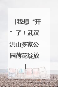 我想“开”了！武汉洪山多家公园荷花绽放