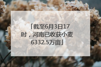 截至6月3日17时，河南已收获小麦6332.5万亩