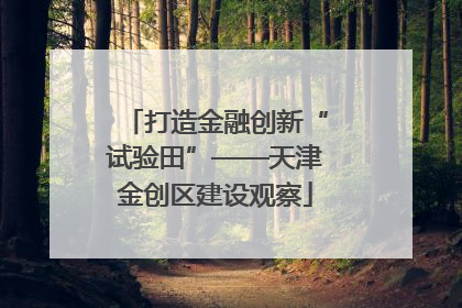 打造金融创新“试验田”——天津金创区建设观察
