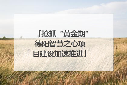 抢抓“黄金期” 德阳智慧之心项目建设加速推进
