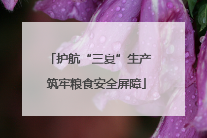 护航“三夏”生产 筑牢粮食安全屏障
