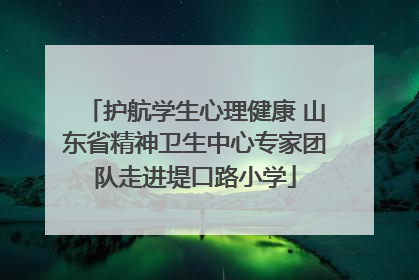 护航学生心理健康 山东省精神卫生中心专家团队走进堤口路小学