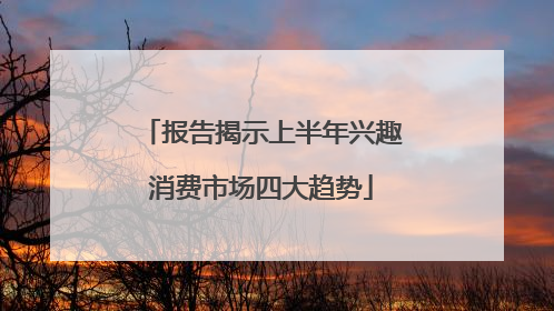 报告揭示上半年兴趣消费市场四大趋势