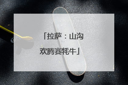 拉萨：山沟欢腾赛牦牛