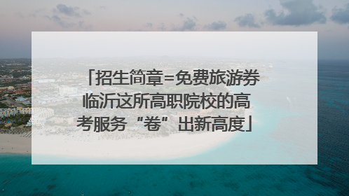 招生简章=免费旅游券 临沂这所高职院校的高考服务“卷”出新高度