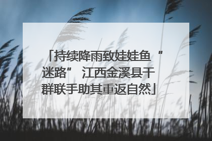 持续降雨致娃娃鱼“迷路” 江西金溪县干群联手助其重返自然
